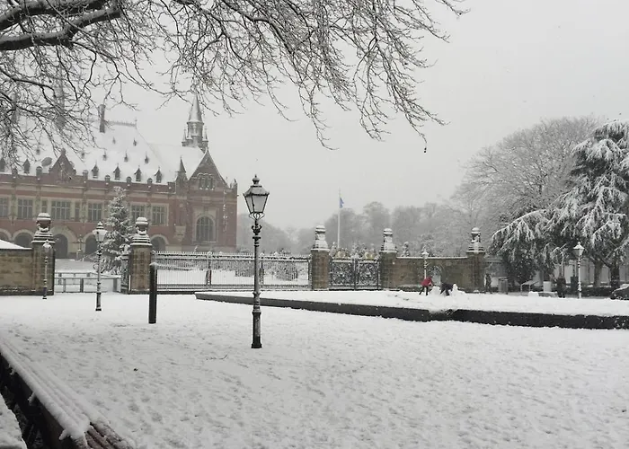 Charming Tiny House Apartment The Hague
